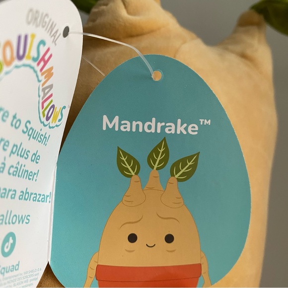 Mandrake 10” Harry Potter Squishmallows 2024 - Picture 4 of 6